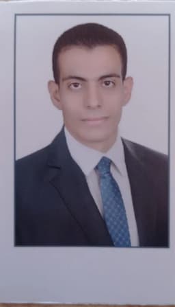 Ahmed Emara Geologist